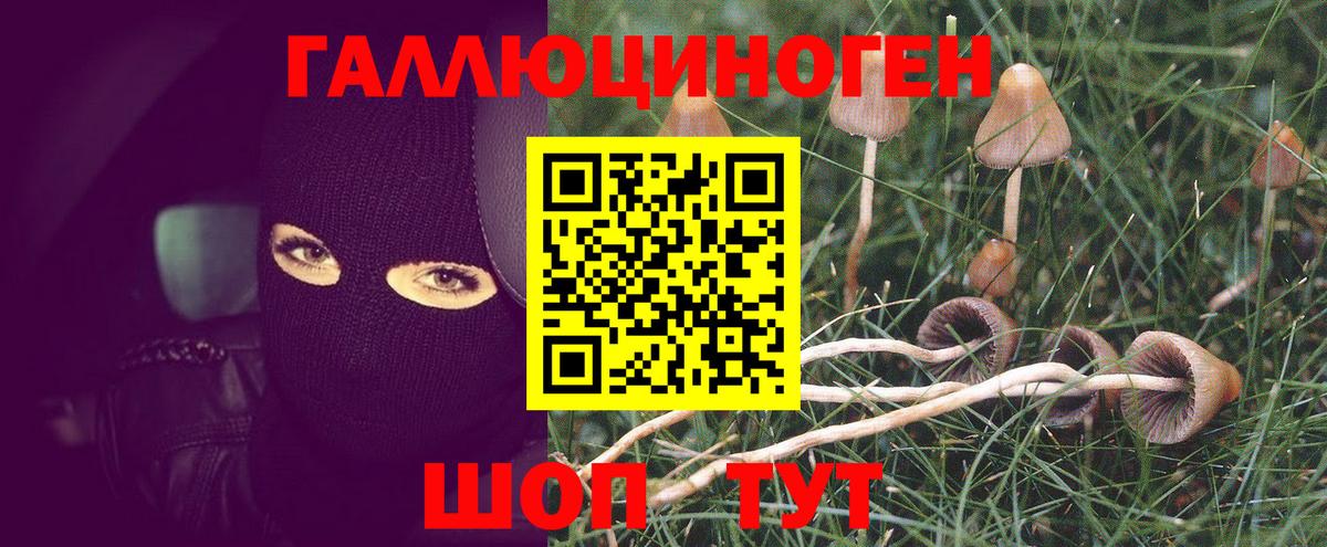 Галлюциногенные грибы прущие грибы  Вход с VPN  Королёв 