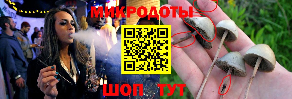 Галлюциногенные грибы прущие грибы Королёв